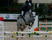 Cancogni Berlin's Pride GioCav2013 S5 1049 : Berlin's Pride, Campionati Italiani Giovani Cavalli, Cancogni Daniele, Cattolica, ph Stefano Secchi ©